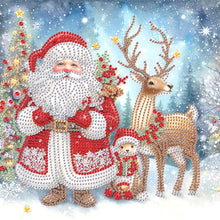 Load image into Gallery viewer, Diamond Painting - Partial Special Shaped - Santa Claus (30*30CM)