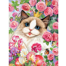 Load image into Gallery viewer, Diamond Painting - Full Round - Rose ragdoll cat (30*40CM)