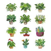 Load image into Gallery viewer, 12pcs Mini Diamond Painting Set - Full Round - potted plants (15*18CM)