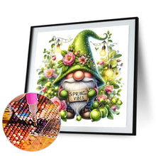 Load image into Gallery viewer, Diamond Painting - Full Round - Spring gnome (30*30CM)