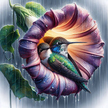Load image into Gallery viewer, Diamond Painting - Full Round - Blooming hummingbird (30*30CM)