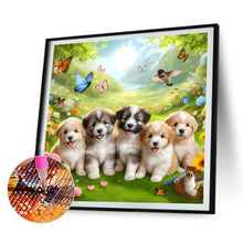 Load image into Gallery viewer, 3pcs Round Diamond Painting Set - Gouzi (30*30CM)