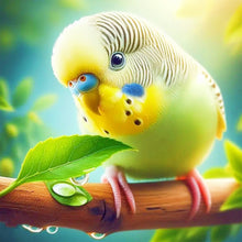 Load image into Gallery viewer, Diamond Painting - Full Round - Parrot (30*30CM)
