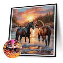Load image into Gallery viewer, 2pcs Round Diamond Painting Set - Animal series (30*30CM)