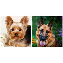 Load image into Gallery viewer, 2pcs Round Diamond Painting Set - Animal series (30*30CM)