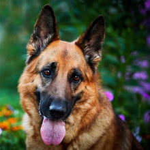 Load image into Gallery viewer, 2pcs Round Diamond Painting Set - Animal series (30*30CM)