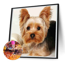 Load image into Gallery viewer, 2pcs Round Diamond Painting Set - Animal series (30*30CM)