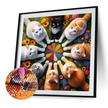 Load image into Gallery viewer, Diamond Painting - Full Round - Eight cats (40*40CM)