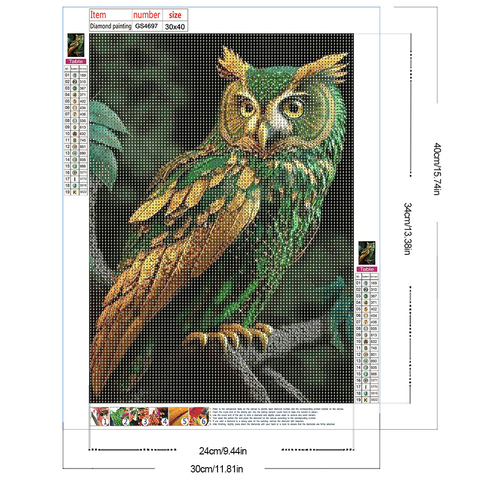 Diamond Painting - Full Round - Owl (30*40CM)