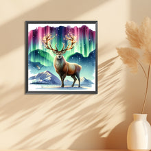Load image into Gallery viewer, Diamond Painting - Full Round - Moose under the aurora (30*30CM)