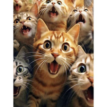 Load image into Gallery viewer, Diamond Painting - Full Square - Cat (30*40CM)