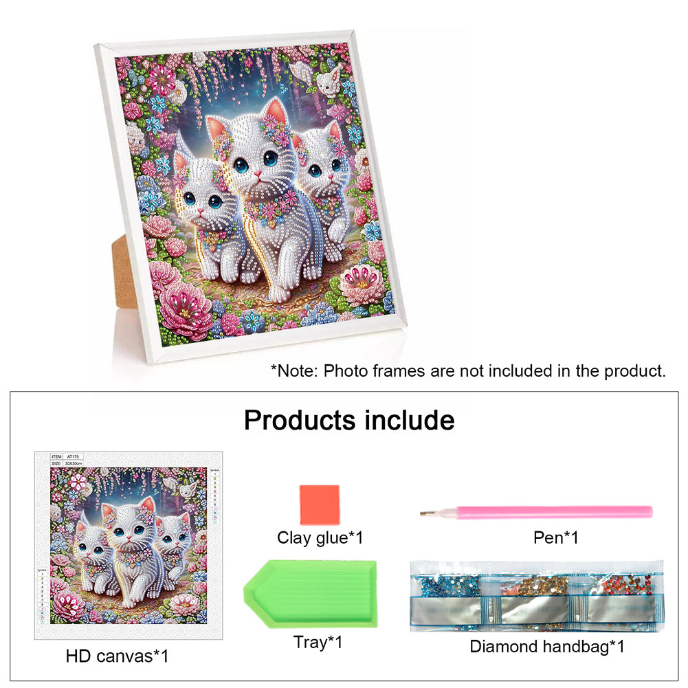 Diamond Painting - Partial Special Shaped - Cat (30*30CM)
