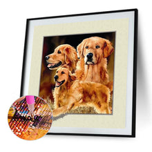 Load image into Gallery viewer, Diamond Painting - Full Square - Golden retriever (40*40CM)