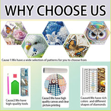 Load image into Gallery viewer, Diamond Painting - Partial Special Shaped - Pine cone double cat (30*30CM)