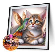 Load image into Gallery viewer, Diamond Painting - Full Round - Hummingbird Cat (40*40CM)