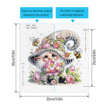 Load image into Gallery viewer, Diamond Painting - Partial Special Shaped - Flower Gnome (30*30CM)