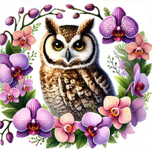Load image into Gallery viewer, Diamond Painting - Full Round - Owl and Phalaenopsis (40*40CM)