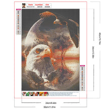 Load image into Gallery viewer, Diamond Painting - Full Round - Eagle (30*40CM)