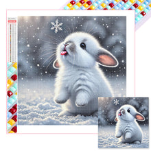 Load image into Gallery viewer, Diamond Painting - Full Square - Feel the Taste of Snow (30*30CM)