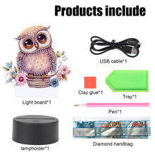 Load image into Gallery viewer, Acrylic Double Sided Diamond Painting LED Night Light for Adults Beginner (Owl)