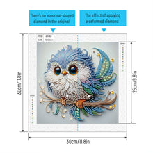Load image into Gallery viewer, Diamond Painting - Partial Special Shaped - Bird (30*30CM)