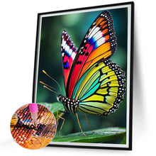 Load image into Gallery viewer, Diamond Painting - Full Round - Butterfly (30*40CM)