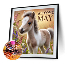 Load image into Gallery viewer, Diamond Painting - Full Square - Cute Animal May (40*40CM)