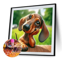 Load image into Gallery viewer, Diamond Painting - Full Round - Dachshund (40*40CM)