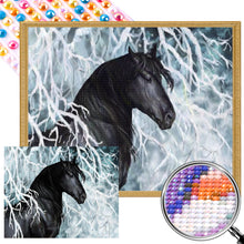 Load image into Gallery viewer, AB Diamond Painting - Full Round - Ice And Snow Black Horse (50*40CM)