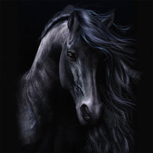 Load image into Gallery viewer, AB Diamond Painting - Full Round - Dark Horse (50*50CM)