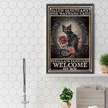 Load image into Gallery viewer, Diamond Painting - Full Square - Rose From Black Cat (40*60CM)