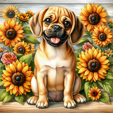 Load image into Gallery viewer, Diamond Painting - Full Round - Dachshund (40*40CM)