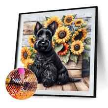 Load image into Gallery viewer, Diamond Painting - Full Round - Schnauzer (40*40CM)