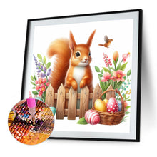Load image into Gallery viewer, Diamond Painting - Full Round - Squirrel (40*40CM)