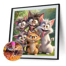 Load image into Gallery viewer, Diamond Painting - Full Round - Funny Cat (40*40CM)