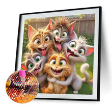 Load image into Gallery viewer, Diamond Painting - Full Round - Funny Cat (40*40CM)