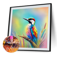 Load image into Gallery viewer, Diamond Painting - Full Round - Hummingbird With Colorful Rice (40*40CM)