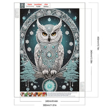 Load image into Gallery viewer, Diamond Painting - Partial Special Shaped - Blue Fantasy Owl (30*40CM)