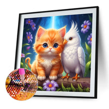 Load image into Gallery viewer, Diamond Painting - Full Round - Orange Cat And White Parrot (30*30CM)