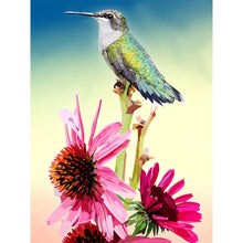 Load image into Gallery viewer, Diamond Painting - Full Square - Kingfisher (30*40CM)