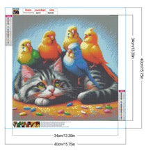 Load image into Gallery viewer, Diamond Painting - Full Round - Kitten Parrot (40*40CM)