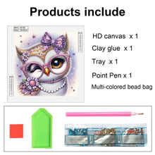 Load image into Gallery viewer, Diamond Painting - Partial Special Shaped - Cartoon Owl (30*30CM)