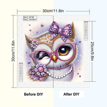 Load image into Gallery viewer, Diamond Painting - Partial Special Shaped - Cartoon Owl (30*30CM)