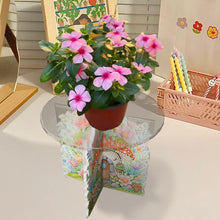 Load image into Gallery viewer, Acrylic Butterfly Round Flower Pot Riser Potted Plant Holder Rack for Home Decor