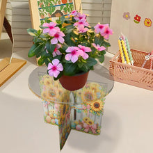 Load image into Gallery viewer, Acrylic Butterfly Round Flower Pot Riser Potted Plant Holder Rack for Home Decor