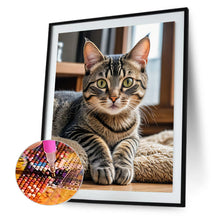 Load image into Gallery viewer, Diamond Painting - Full Round - Cat (40*50CM)