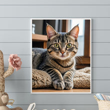 Load image into Gallery viewer, Diamond Painting - Full Round - Cat (40*50CM)