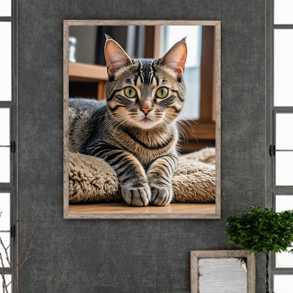 Diamond Painting - Full Round - Cat (40*50CM)