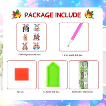 Load image into Gallery viewer, 6Pcs Acrylic Animals Diamond Painting Refrigerator Magnet for Fridge Whiteboards