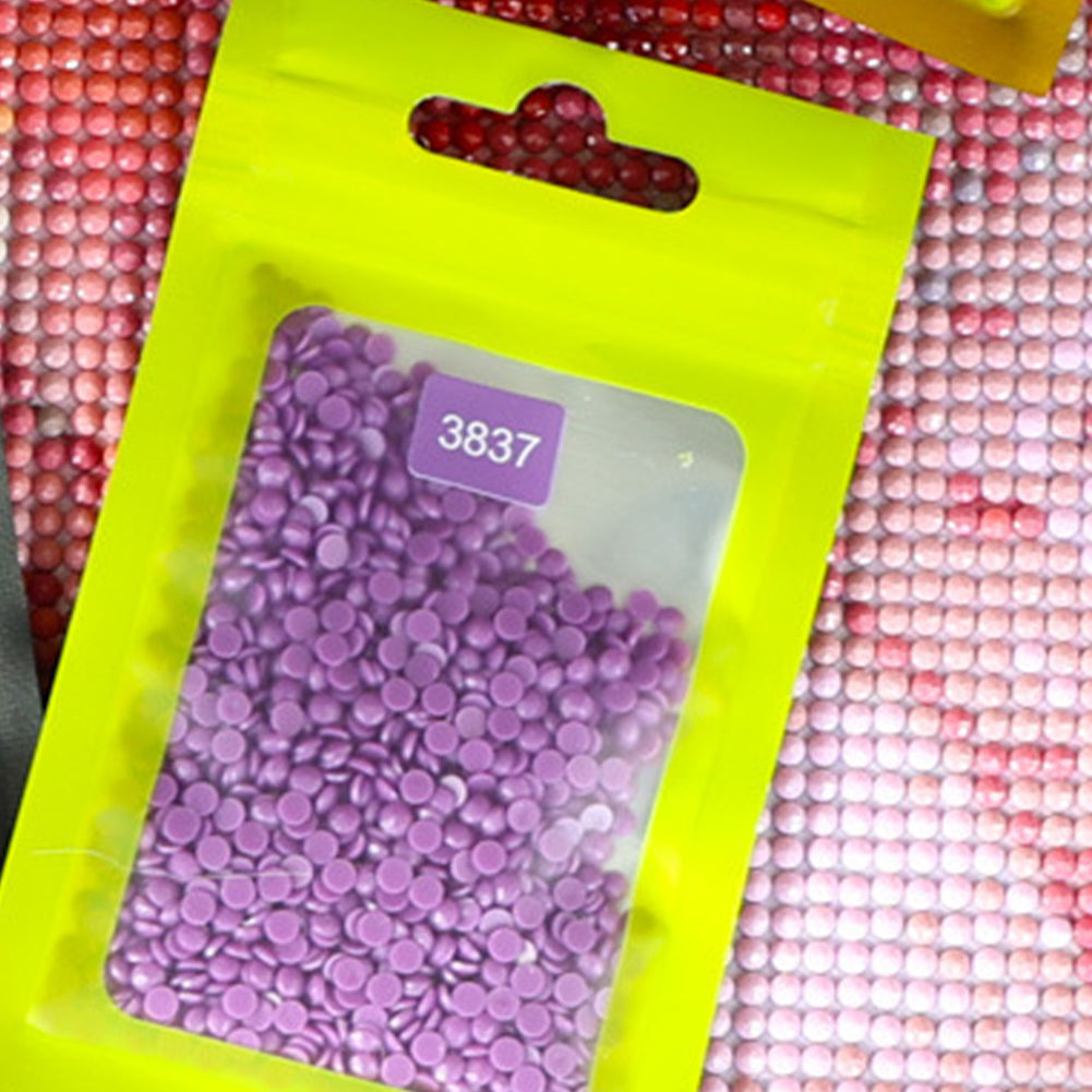 50pcs DIY Diamond Painting Tools Self Adhesive Bags for Craft Supplies Storage